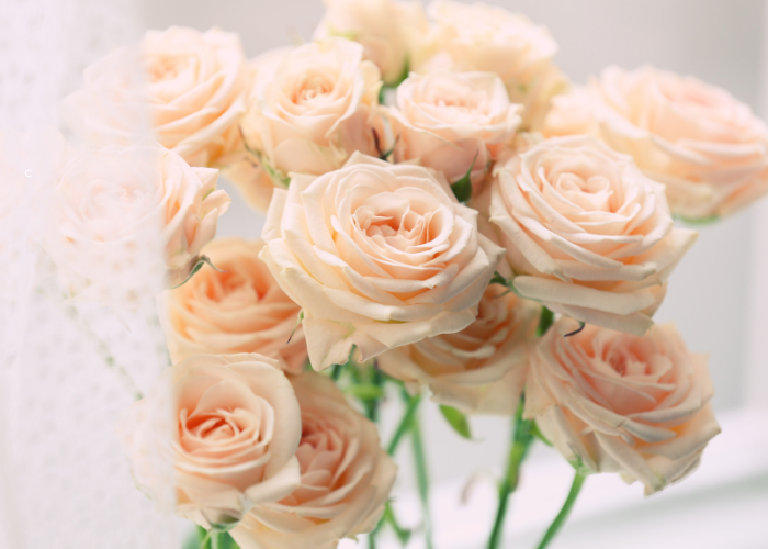 Fresh Flowers Online