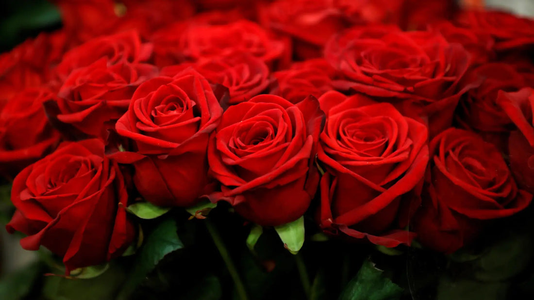 Valentine's Day flowers Melbourne